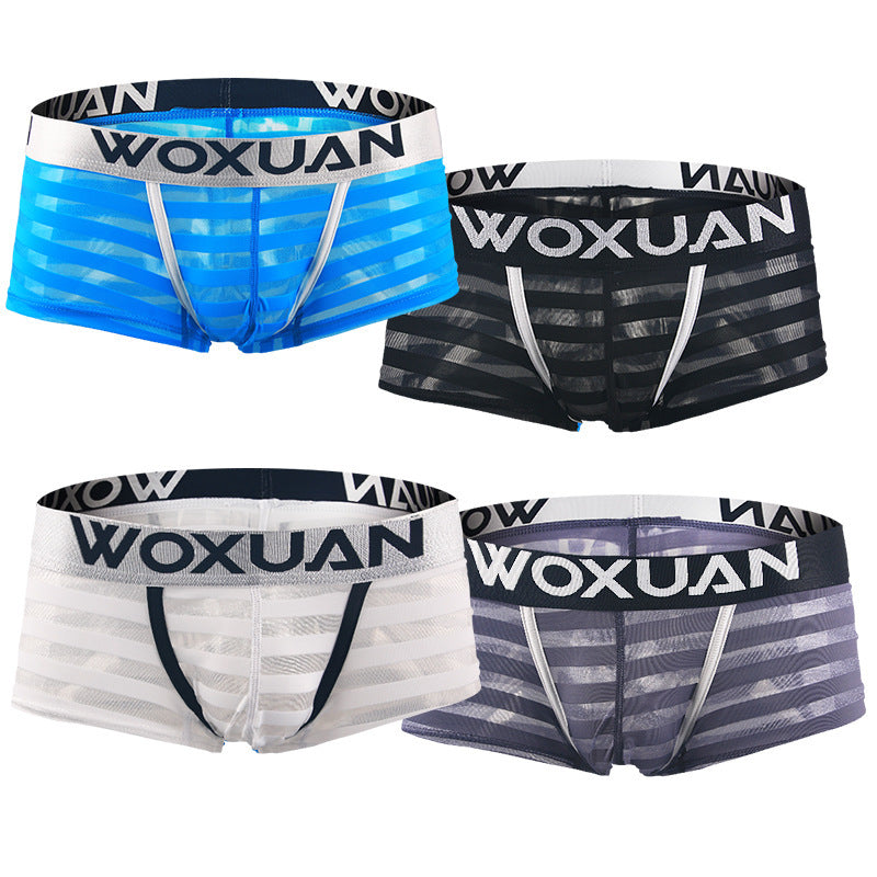Men's Striped Sheer Boxer Underwear