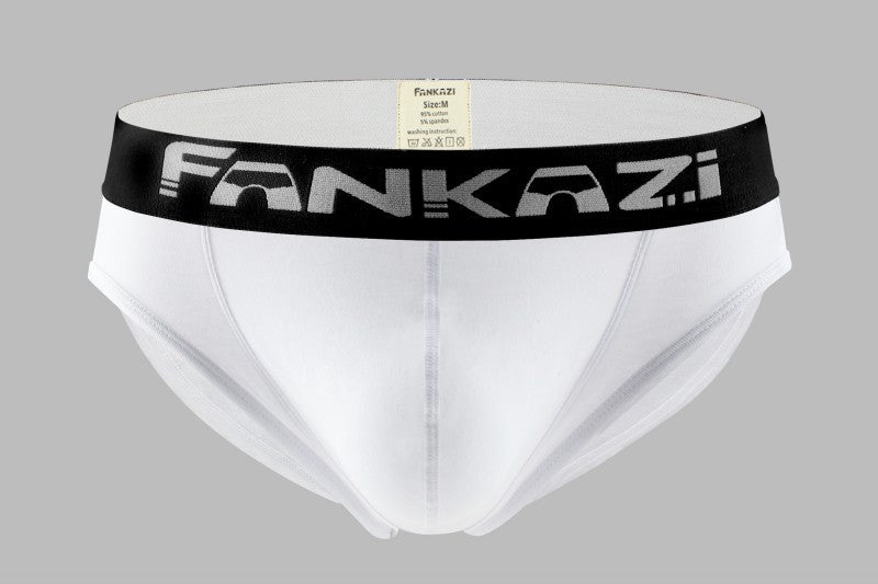 Men's low waist sexy triangle underwear