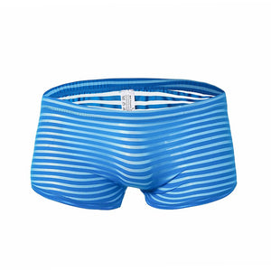 Men's fashion sexy mesh boxer underwear