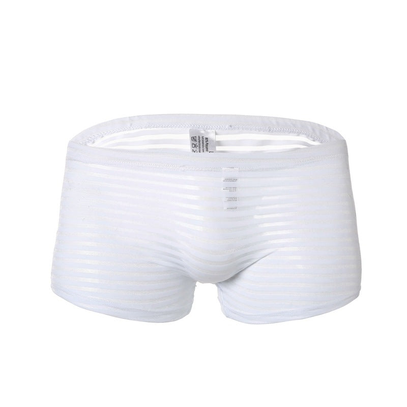 Men's fashion sexy mesh boxer underwear