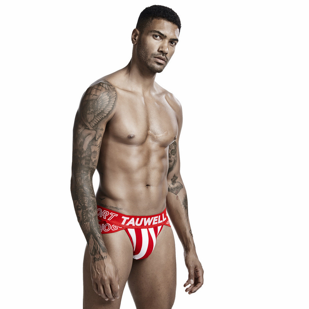 Men's Low Waist Sexy Striped Triangle Underwear