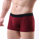 Men's Comfortable Breathable Boxer Underwear