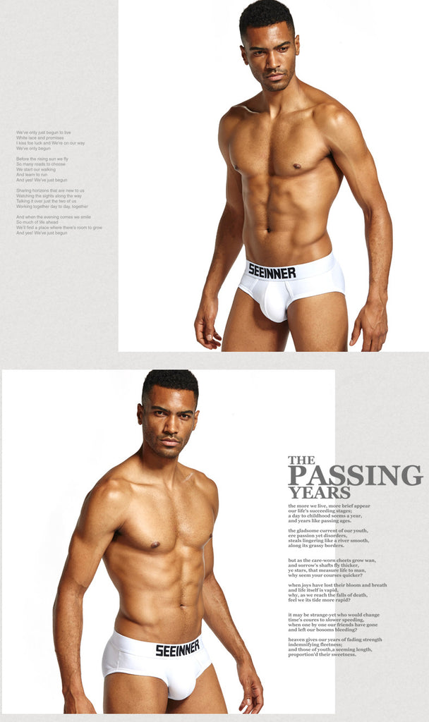 Men's Pure Cotton Solid Color Sexy High Quality Triangle Underwear