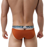 Men's Sexy Stretch Triangular Underwear