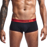 Men's Cotton Color Contrast Low Rise Boxer Underwear