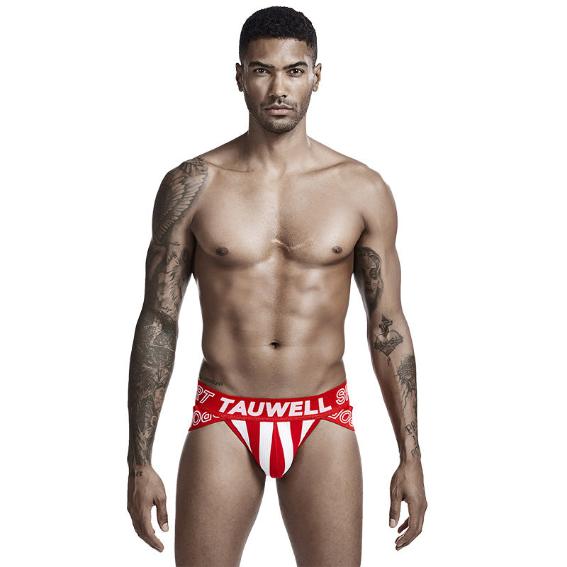 Men's Low Waist Sexy Striped Triangle Underwear