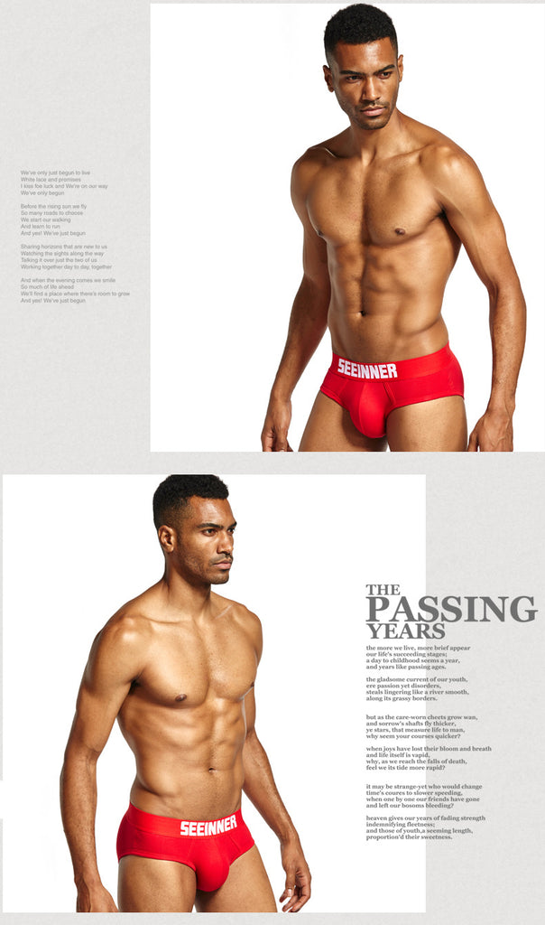 Men's Pure Cotton Solid Color Sexy High Quality Triangle Underwear