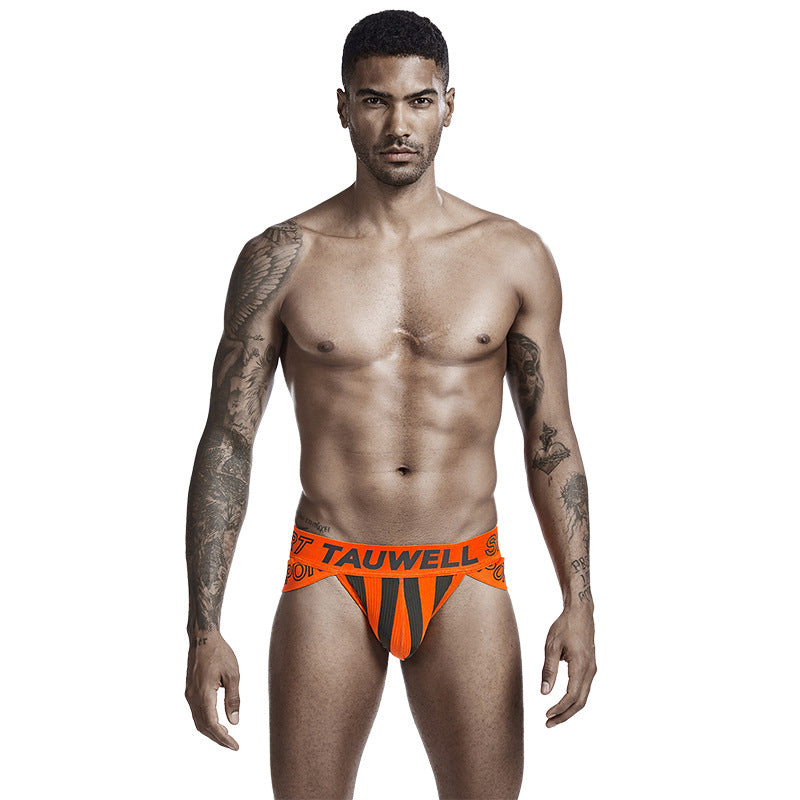 Men's Low Waist Sexy Striped Triangle Underwear