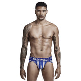 Men's Low Waist Sexy Striped Triangle Underwear