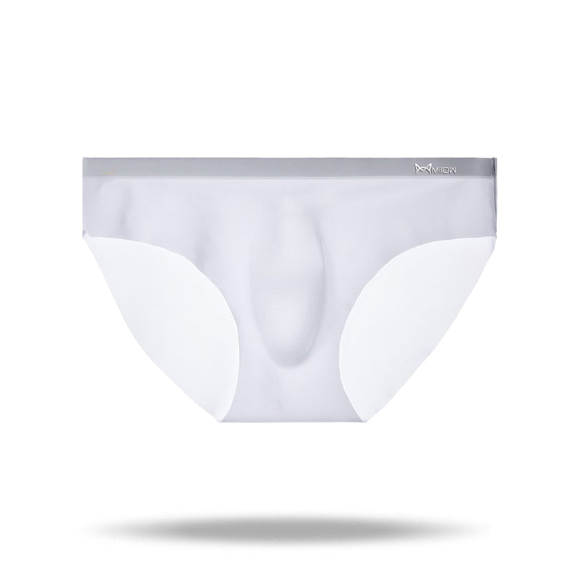 2021 Men's Ice Silk Quick-Drying Briefs - Amamble