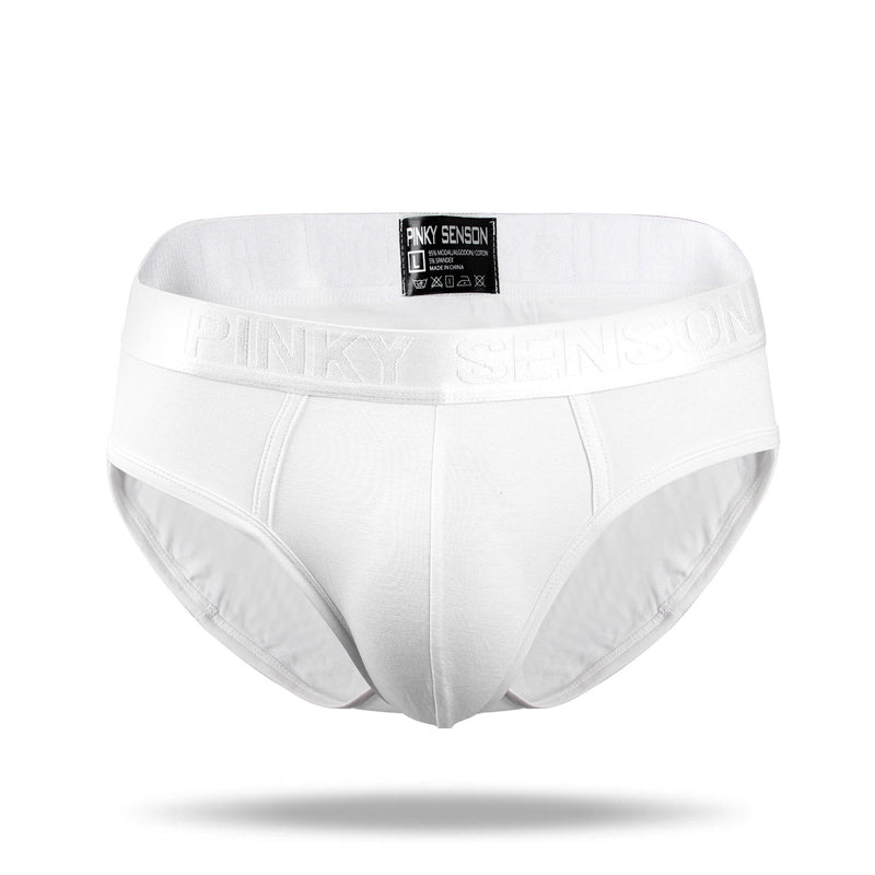 2021 New Simple Modal Low Waist Briefs - Amamble