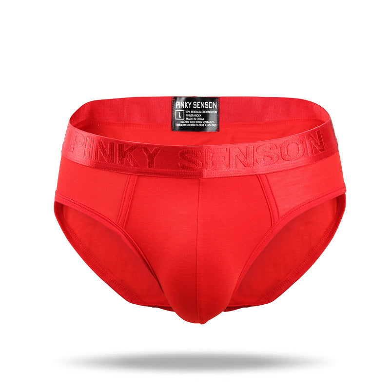2021 New Simple Modal Low Waist Briefs - Amamble