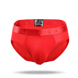 2021 New Simple Modal Low Waist Briefs - Amamble