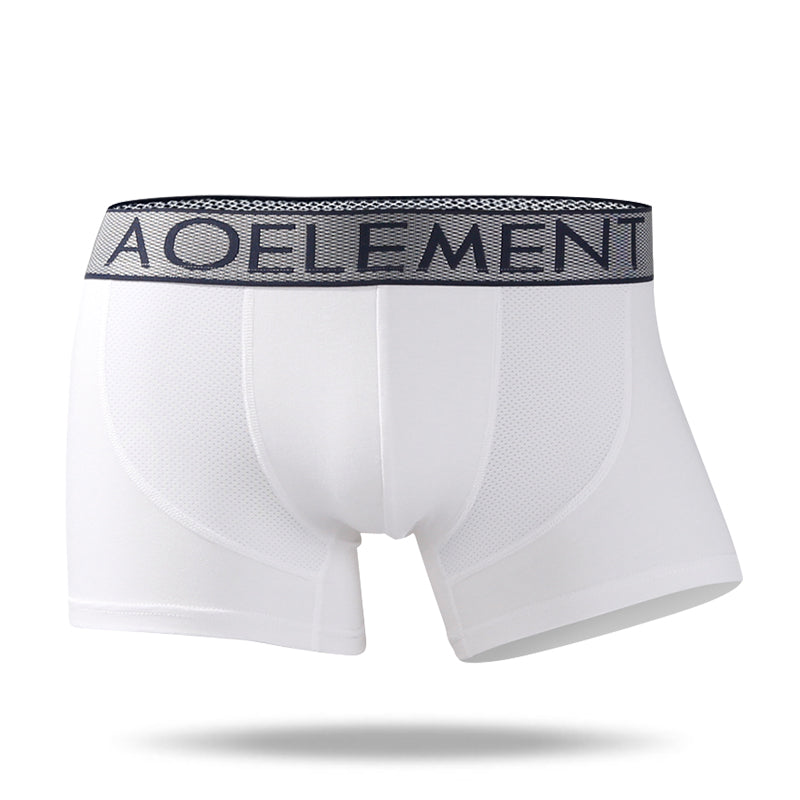 Men's new ice silk breathable boxer briefs🔥1st Anniversary Promotion‼ Limited Time Offer 50%OFF😍 ! - Amamble