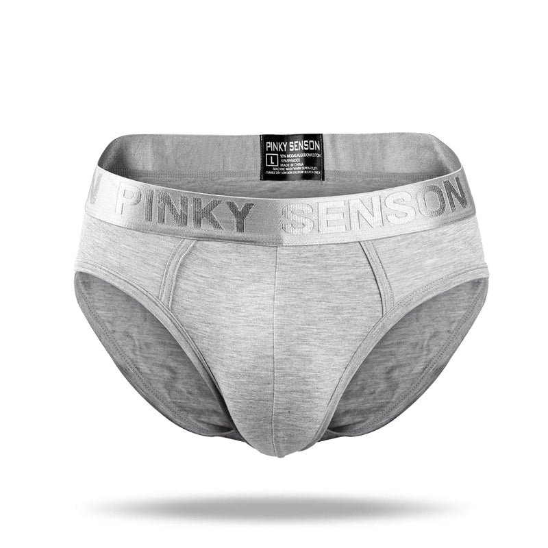 2021 New Simple Modal Low Waist Briefs - Amamble