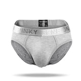 2021 New Simple Modal Low Waist Briefs - Amamble