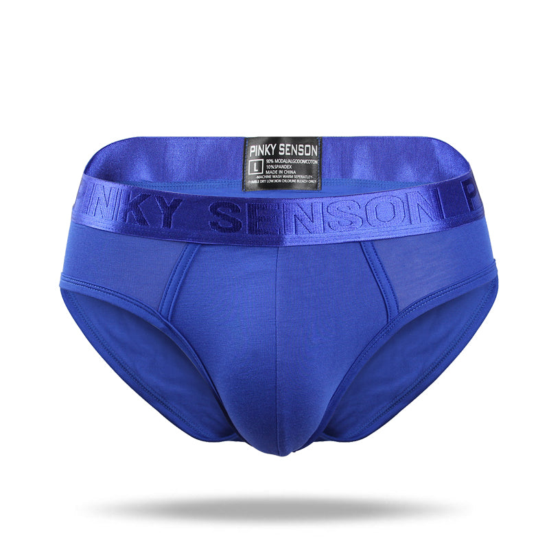 2021 New Simple Modal Low Waist Briefs - Amamble