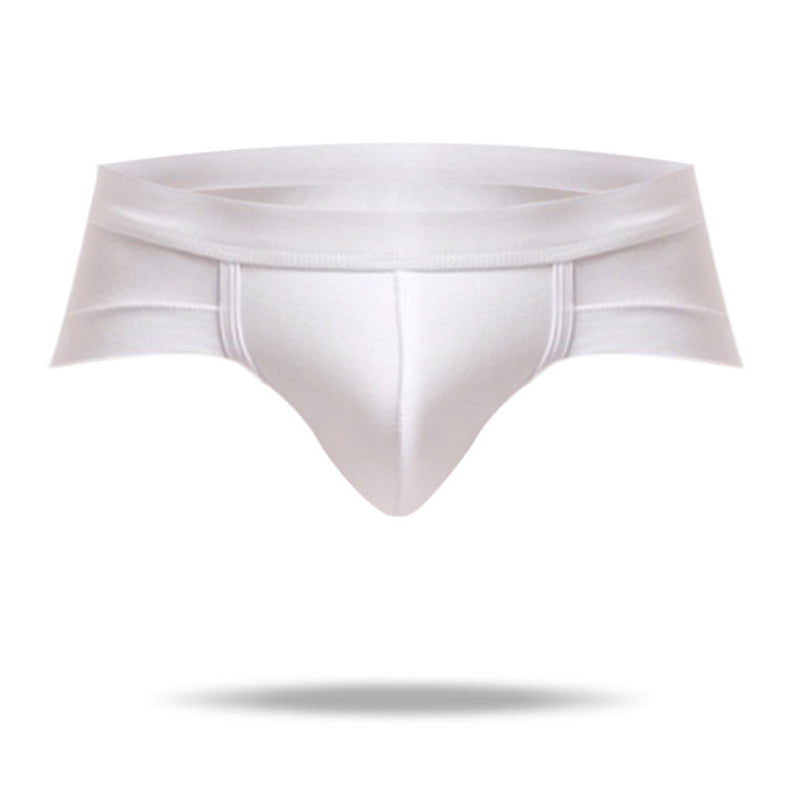 2020 New Modal Low Waist Sexy Men's Briefs - Amamble