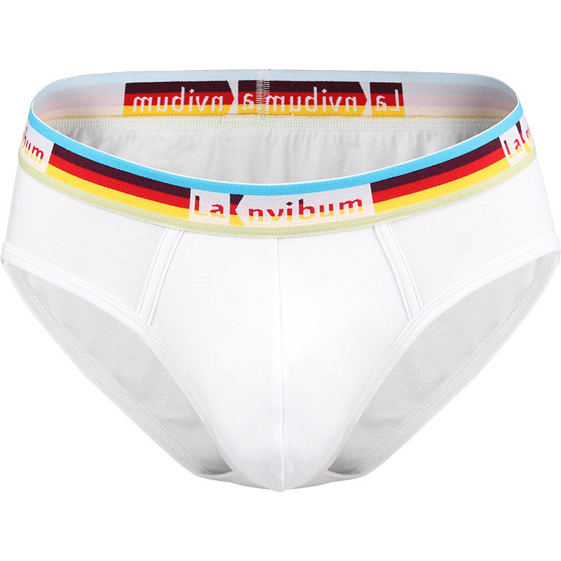 Men's New Modal Breathable Comfort Briefs
