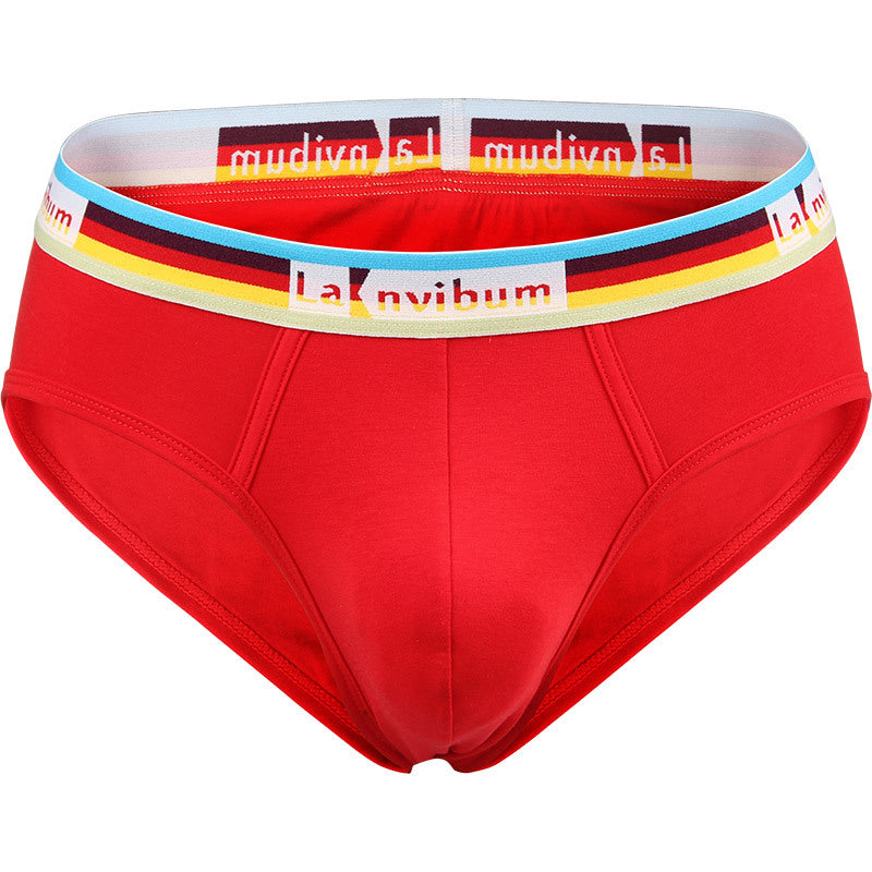 Men's New Modal Breathable Comfort Briefs