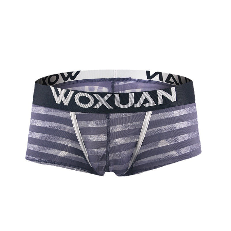 Men's Striped Sheer Boxer Underwear