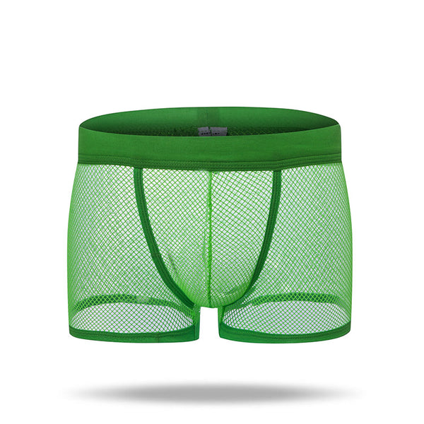 2023 New Men's Mesh Panties