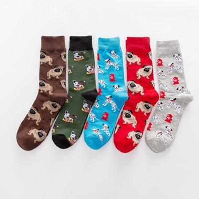 5 Pieces Couple trend stylish creative fancy colorful socks - Amamble